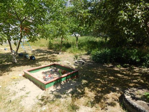 Фото автора Фото автора