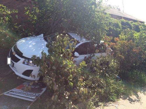 Фото читателей БВ