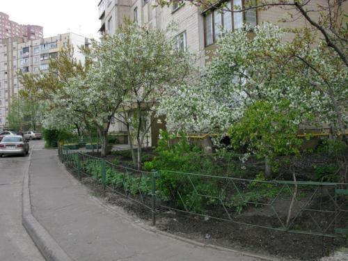 Фото: obmorock.livejournal.com Фото: obmorock.livejournal.com