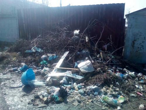 Фото читателей Фото читателей