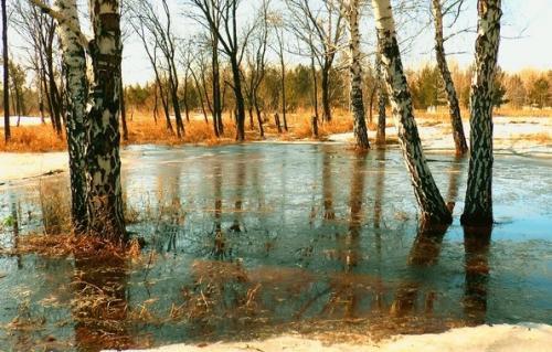 Фото: www.goodfon.ru Фото: www.goodfon.ru