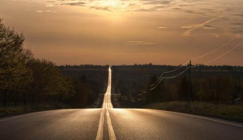 Фото https://w-dog.ru