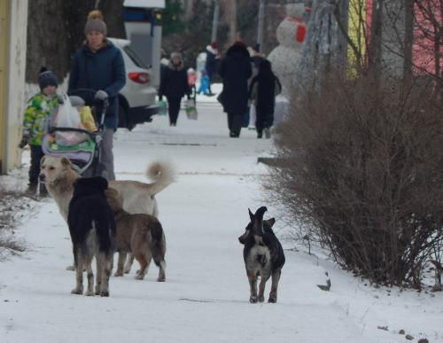 Фото БВ Фото БВ