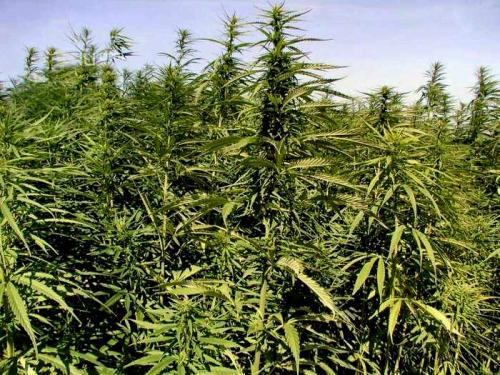 фото www.vsesmi.ru