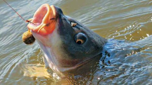 Фото http://x-true.info Фото http://x-true.info