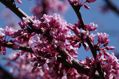 Фото Рашевский А.