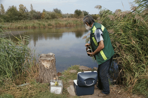 Фото А. Рашевского.