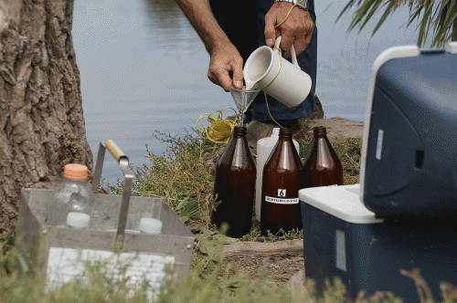 Фото А. Рашевского.