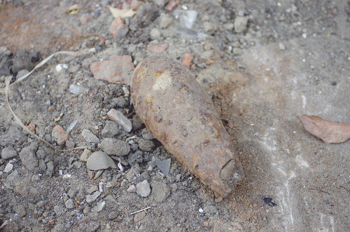 Фото Д. Гончарова.