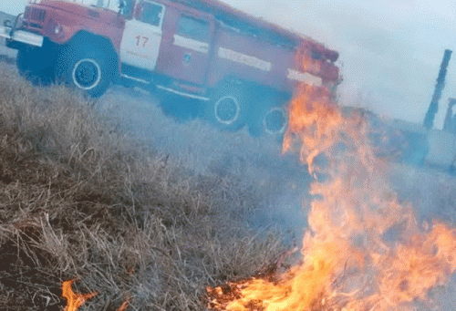 Фото slovosti.ru.