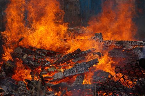 Фото Рашевский А.