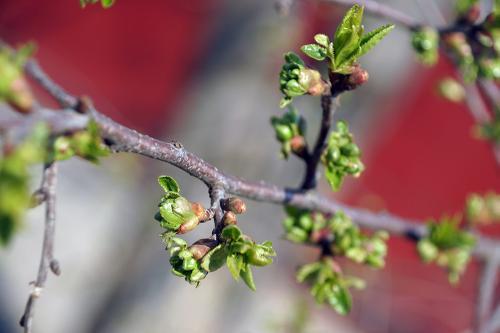 Фото Рашевский А. Фото Рашевский А.