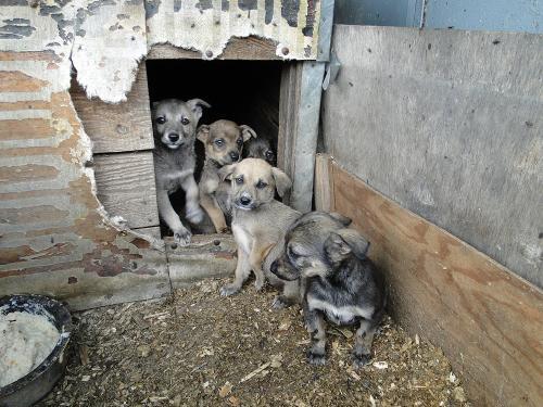 Фото Н. Кутахиной Фото Н. Кутахиной