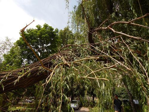 Фото Чевеля Я.