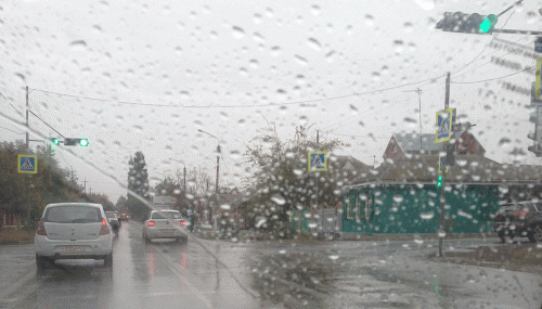 Фото Н. Абрамовой.