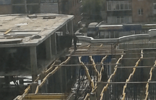 Фото читательницы БВ.