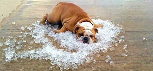 chervonec-001.livejournal.com