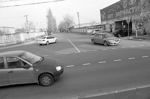 Фото А. Рашевского. Фото А. Рашевского.