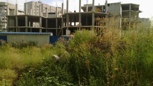 Фото Р. Шишканова Фото Р. Шишканова