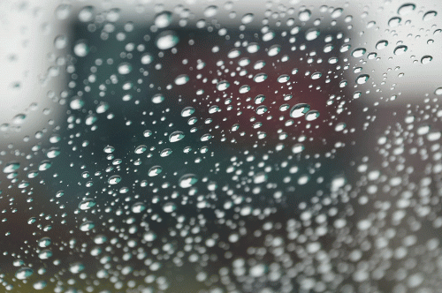 Фото А. Рашевского.