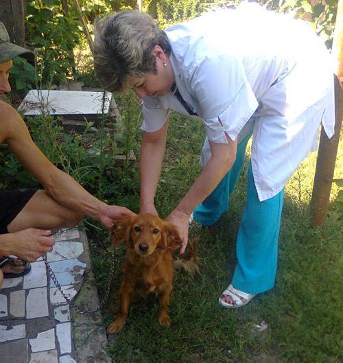 Фото Областной СББЖ