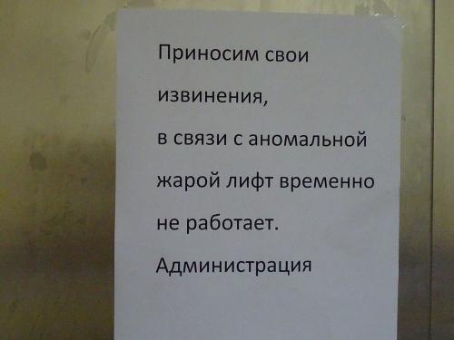 Фото А. Алексеева.