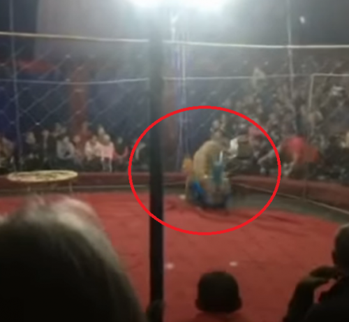 скриншот https://www.youtube.com/watch?v=EonEGsiPOs0