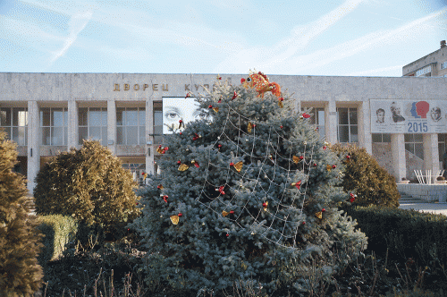Фото А. Рашевского. Фото А. Рашевского.