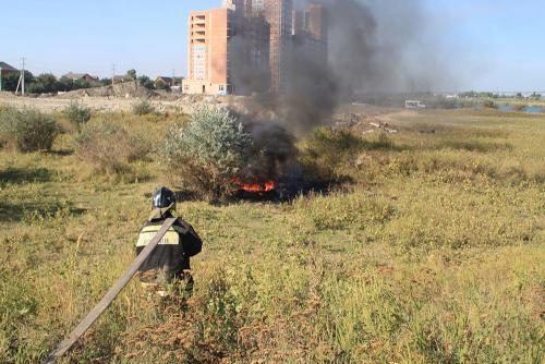 Фото автора. Фото автора.