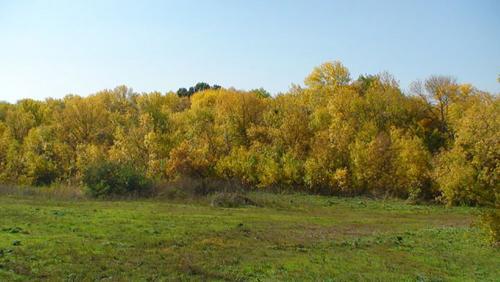 Фото album.foto.ru. Фото album.foto.ru.