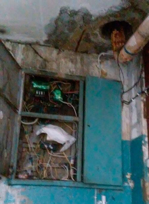 Фото С. Никулиной. Фото С. Никулиной.