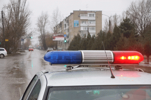 Фото А. Рашевского. Фото А. Рашевского.