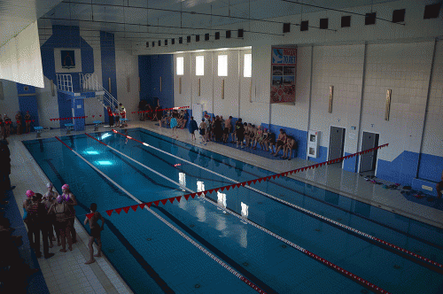 Фото А. Рашевского. Фото А. Рашевского.