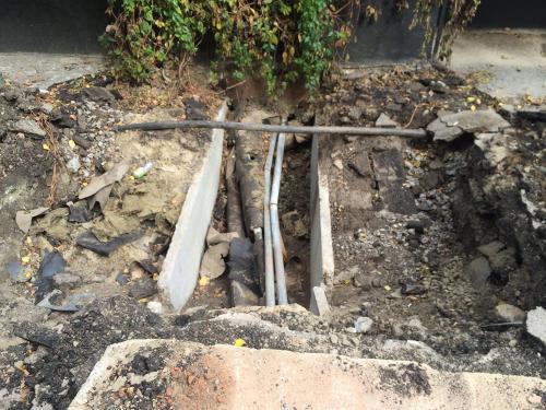 Фото читателей БВ Фото читателей БВ