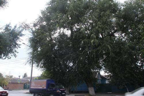 Фото автора Фото автора