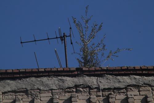 Олег Петрушин Олег Петрушин