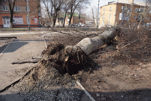 Фото А. Рашевского. Фото А. Рашевского.