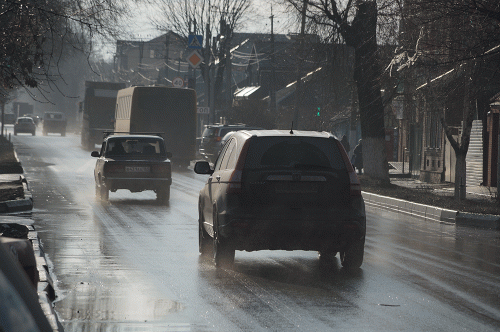 Фото А. Рашевского.