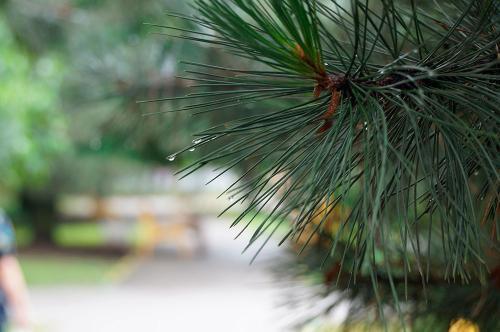 Фото из архива БВ.