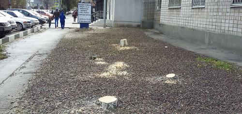 Фото БВ Фото БВ