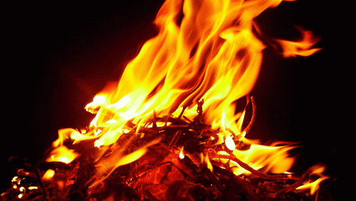 Фото из архива БВ. Фото из архива БВ.