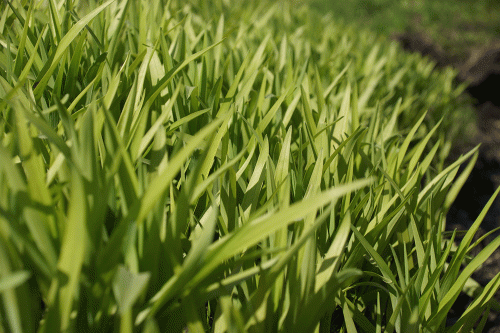 Фото из архива БВ.