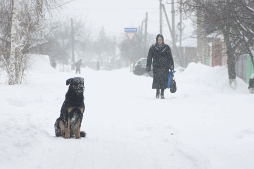 Скриншот 161.ру Скриншот 161.ру