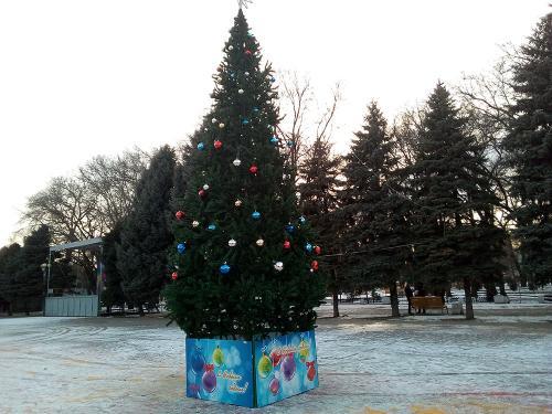 Фото автора 