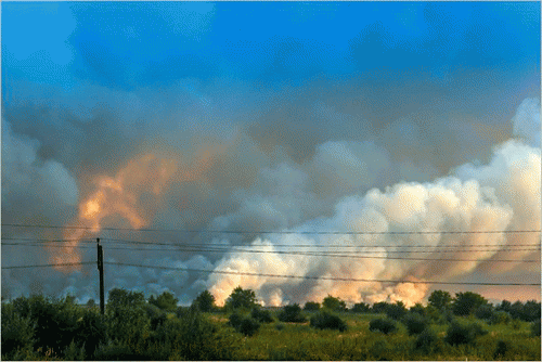 Фото ВКонтакте/Ростов Главный