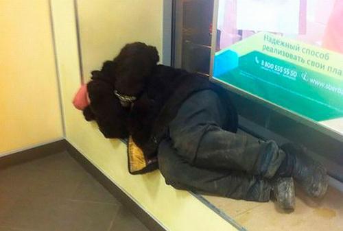 Фото donnews.ru Фото donnews.ru