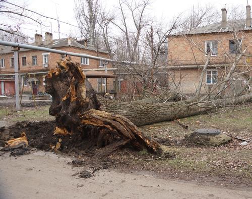 Фото из архива БВ