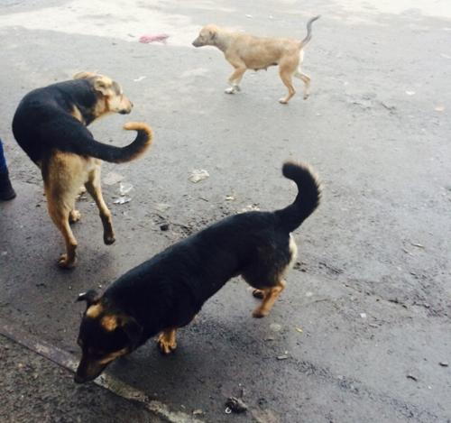 Фото М. Варвариной 