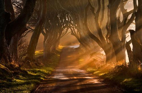 Фото ВК/Необычный гороскоп.