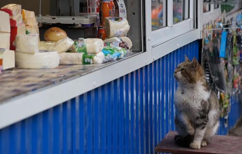 Фото из архива БВ.